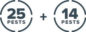 Advanced PestFree36+ icon