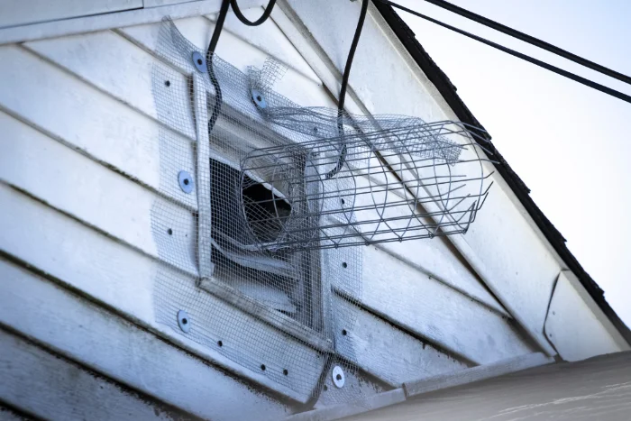 A one way exclusion tunnel and wire mesh in Hot Springs AR